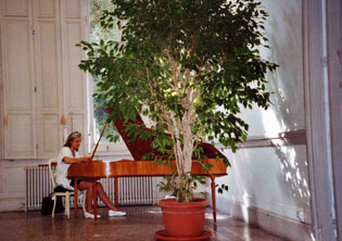 accord pianoforte piano à queue nice cannes monaco var côte d'azur haute provence digne