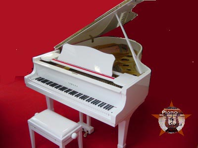 location accord piano nice monaco expertise vente piano concert